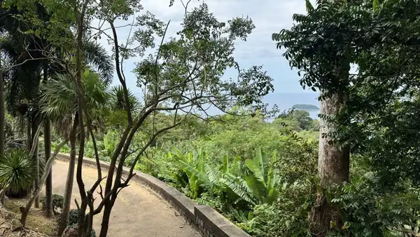 A curved paved path through a hillside garden of trees and banana plants, with the ocean beyond