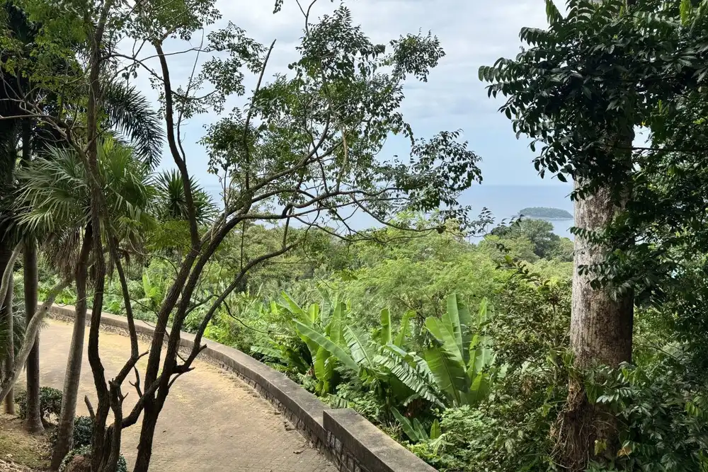 A new path across a hillside with an ocean view, planted with banana and shade trees