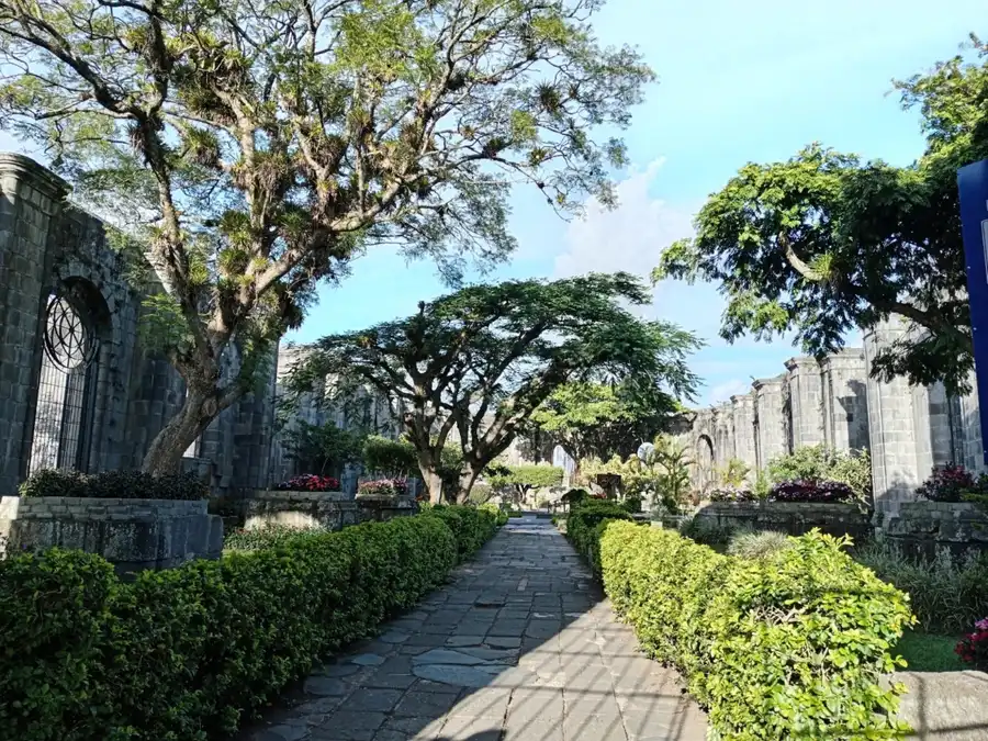 A stone path between clipped hedges under old shade trees