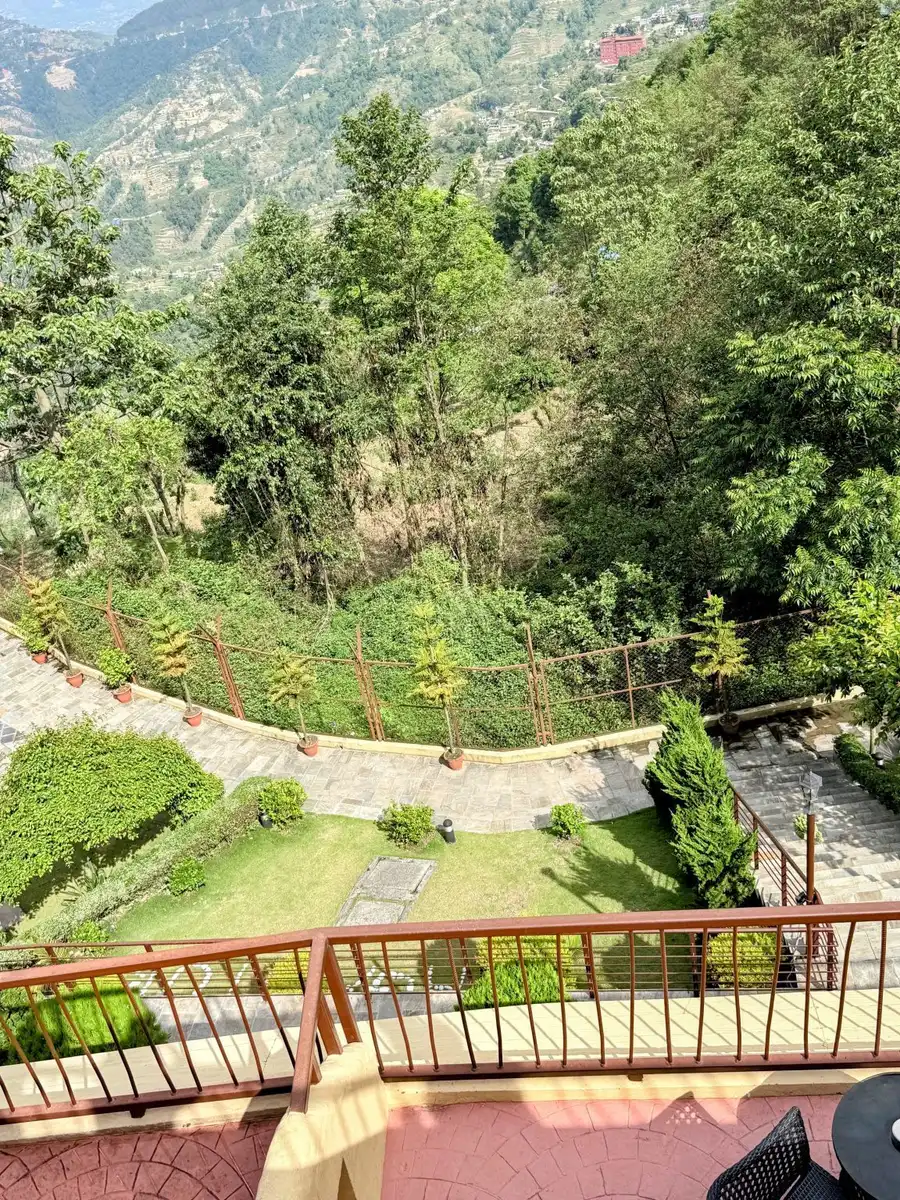 Stepped beds and stone paths below a wooded hill, seen from the house